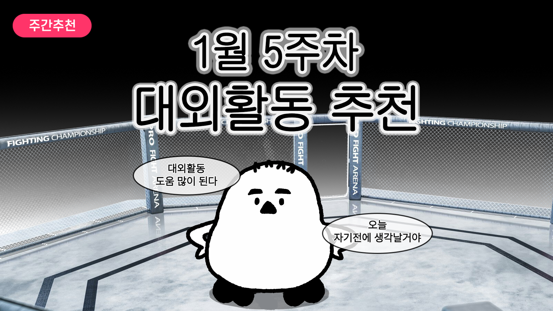 [주간추천] 2026년 1월 5주차 주간추천