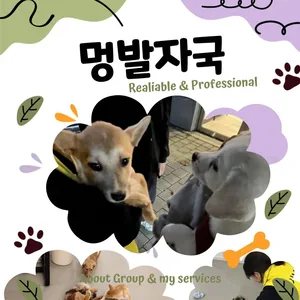 🐾 대학연합봉사동아리 멍발자국 3기 모집 🐾