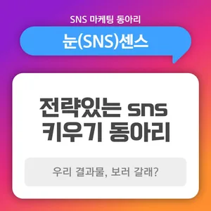 [신입 동아리원 모집] 전국 대학생 SNS 브랜드 마케팅 동아리 <눈(sns)센스»