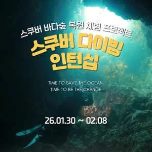 오션캠퍼스 스쿠버다이빙 인턴십