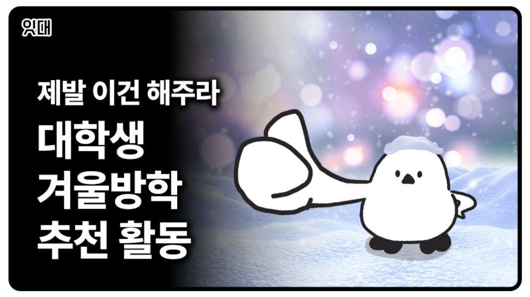제발 이건 해주라 ㅣ 대학생 겨울방학 추천 활동☃️