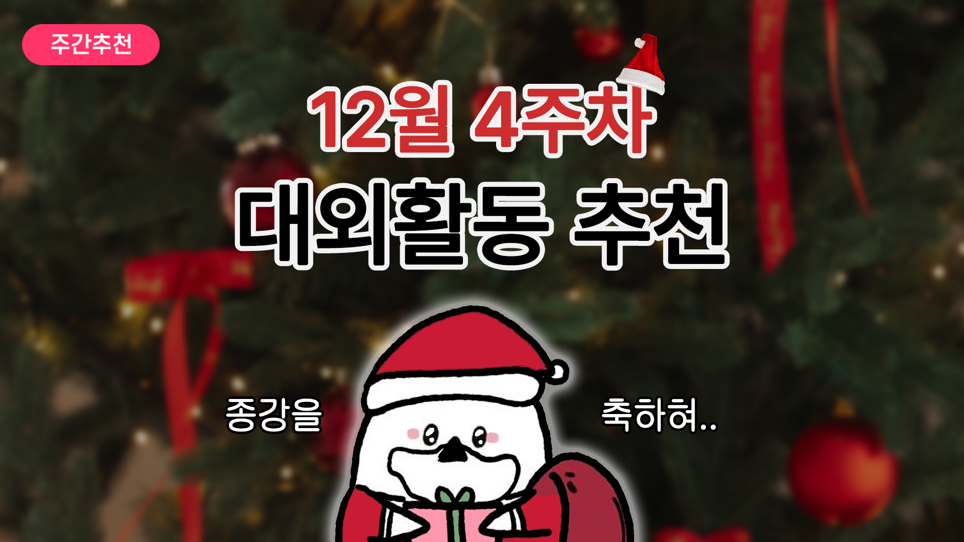 [주간추천] 2025년 12월 4주차 주간추천