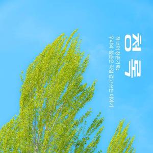 🌿대학연합 문학 동아리 <청록> 1기 신입회원 Recruiting