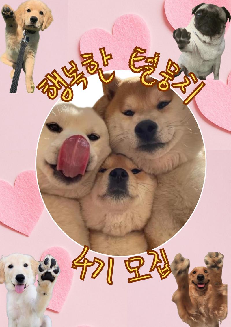 행복한 털뭉치 4기 모집 포스터