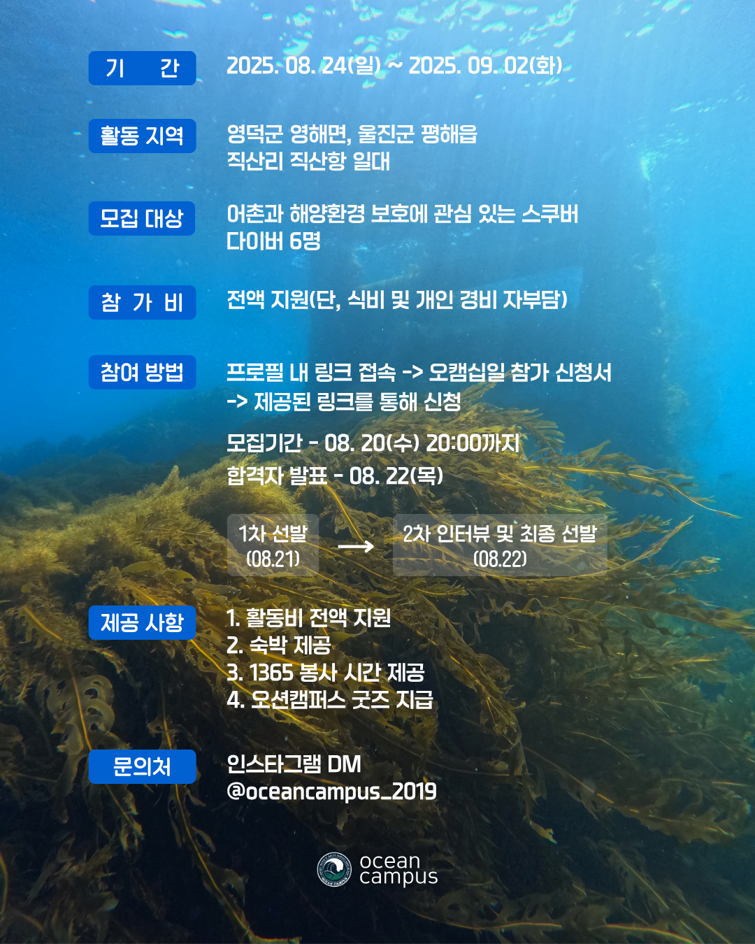 스쿠버 바다숲 복원 체험 프로젝트 포스터