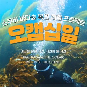 스쿠버 바다숲 복원 체험 프로젝트