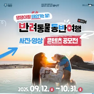반려동물 동반여행 사진·영상 콘텐츠 공모전