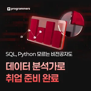 프로그래머스 데브코스: 데이터 분석 9기