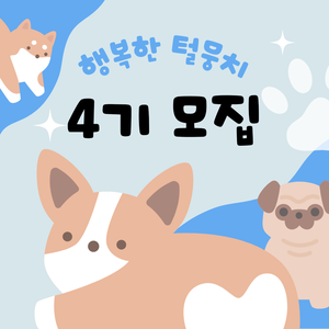 행복한 털뭉치 4기 모집