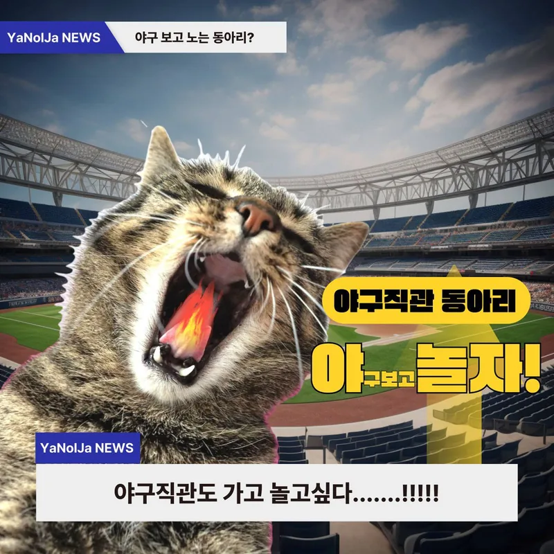 ⚾ 야구직관 동아리 [야놀자] 25-2기 모집! 포스터