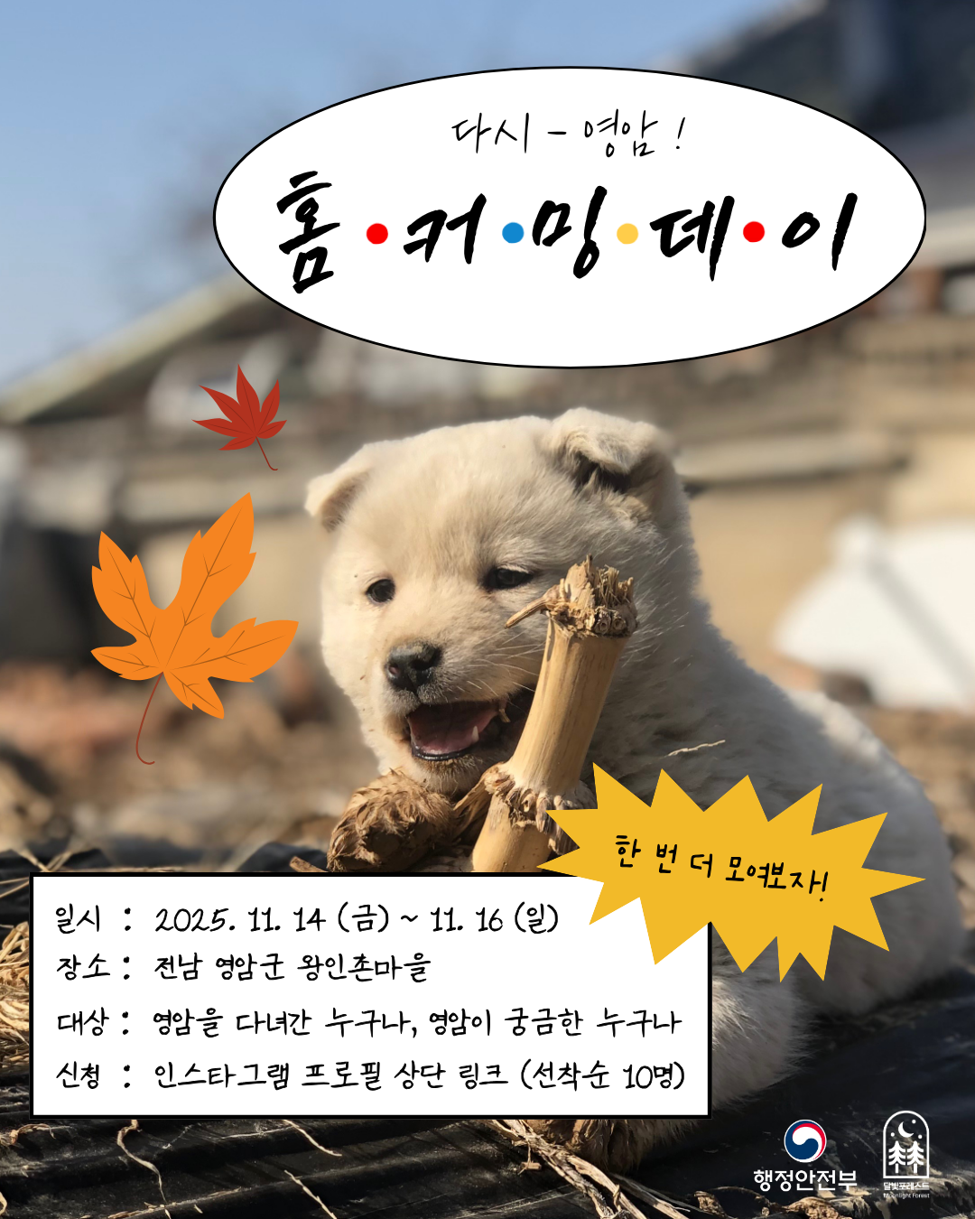 달빛포레스트 영암 지역살이 [홈커밍데이] 포스터