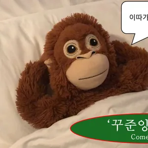 🕺🕺 놀려고 만든 영어 소모임 🕺🕺