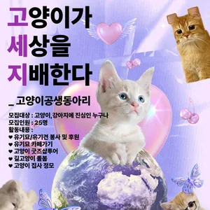 🐱<3기 모집> 고양이가 세상을 지배한다 : 고양이 공생 동아리🐱