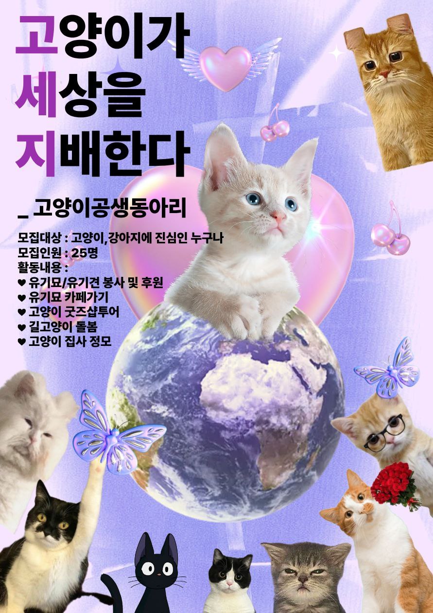 🐱<3기 모집> 고양이가 세상을 지배한다 : 고양이 공생 동아리🐱 포스터