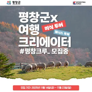 평창 크루 팸투어 멤버 모집