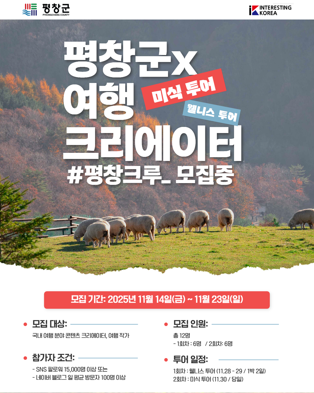 평창 크루 팸투어 멤버 모집 포스터