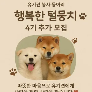 행복한 털뭉치 4기 모집