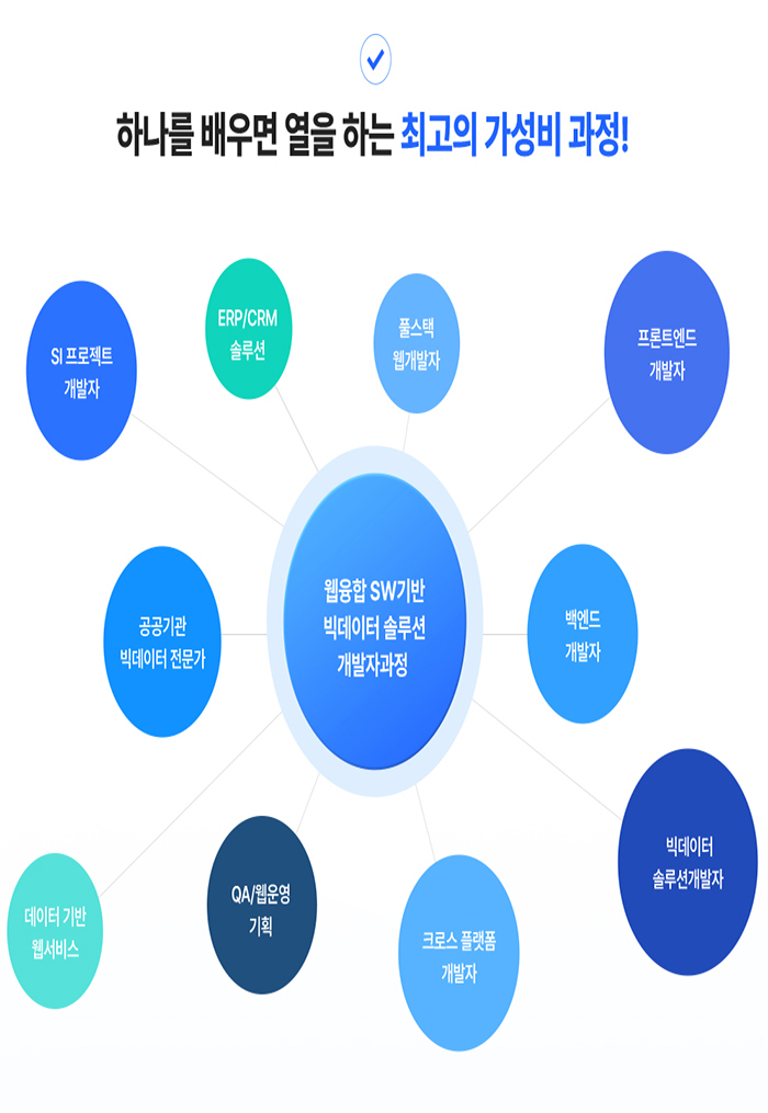 웹 융합 SW기반 빅데이터 솔루션 개발자 양성과정 포스터