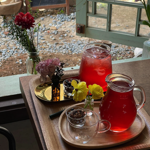 [한국갭이어] 국내 유학생 대상 Korean Traditional Tea 무료 쿠폰