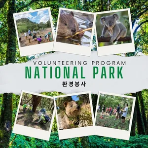 문화체험본부 2026년 상반기 해외국립공원 봉사활동 모집