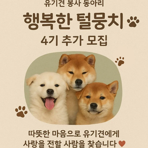 행복한 털뭉치 4기 모집