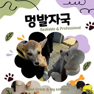 유기견봉사동아리 3기