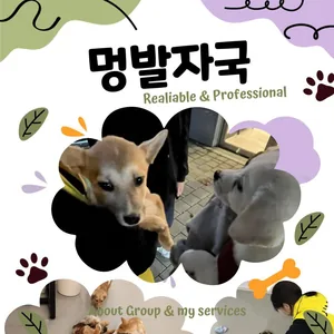 🐾 대학연합봉사동아리 멍발자국 3기 모집 🐾