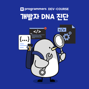 프로그래머스 데브코스와 함께하는 개발자 DNA 진단 검사 이벤트