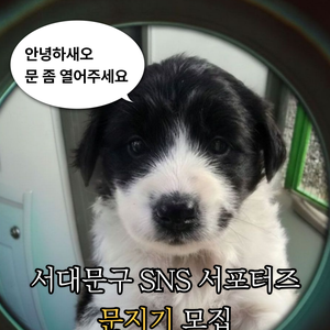 2026년 서대문구 SNS 서포터즈 모집