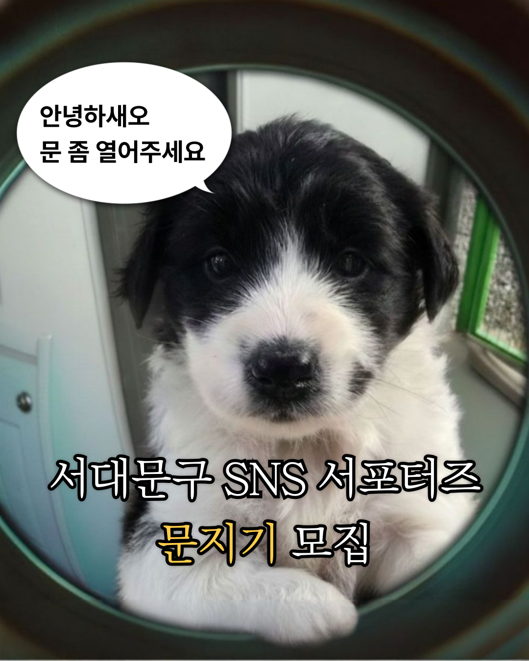 2025년 서대문구 SNS 서포터즈 모집 포스터