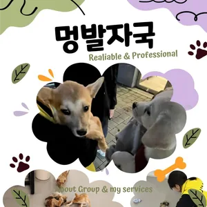 🐾 대학연합봉사동아리 멍발자국 3기 모집 🐾