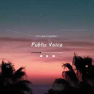 Public Voice