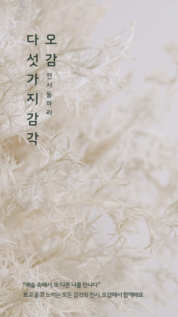 오감 : 문화 생활 동아리 포스터