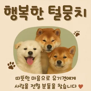 행복한 털뭉치 유기견 봉사동아리 5기 모집