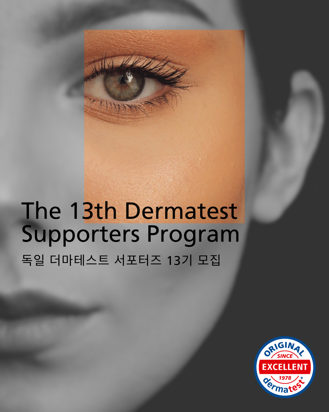 독일 더마테스트 서포터즈13기 모집 포스터