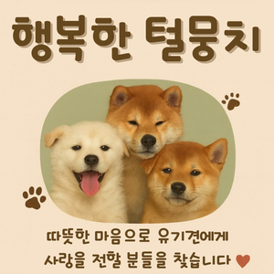 유기견 봉사로 사랑을 나눠요 >< 행복한 털뭉치 5기 모집